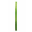 1 Seidenband 10 mm x 50 m - hellgrün
