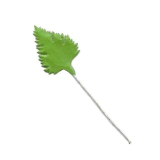 100 Birken-Blätter 2 x 2,5 cm