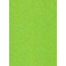 26 Geschenk-Seidenpapier 50 x 70 cm - hellgrün