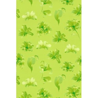 1 Fantasie-Geschenkpapier 50 cm x 250 m