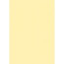 10 kg Blumen-Seidenpapier 50 x 75 cm - champagner